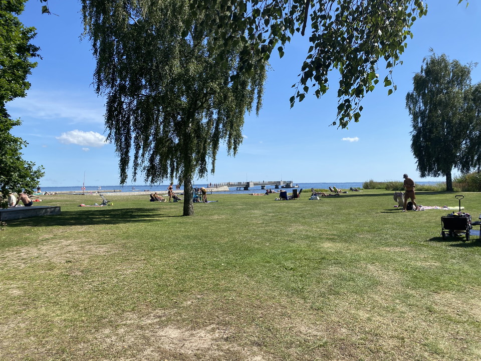 Stor gräsyta tillhörande stranden