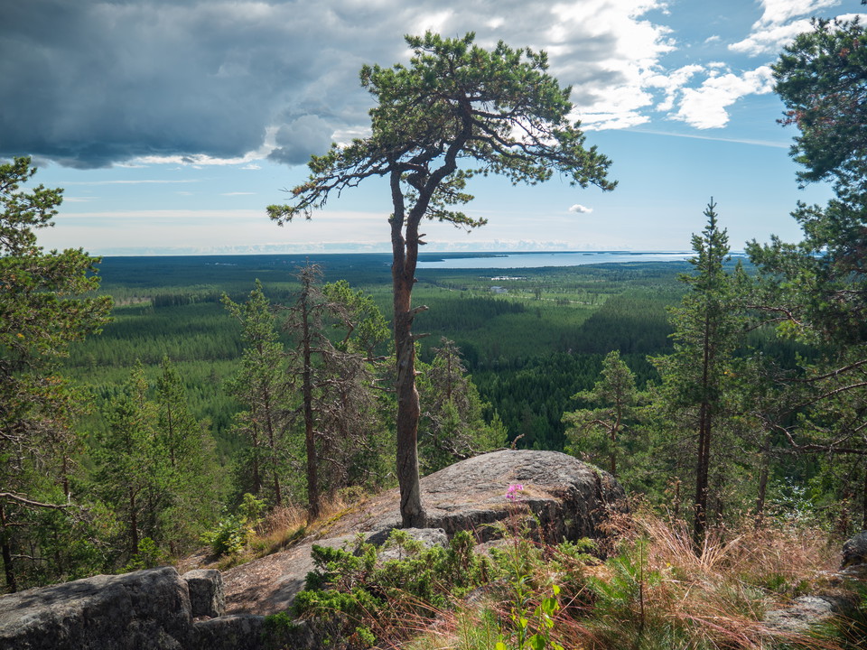 Utsikt från toppen av berget.