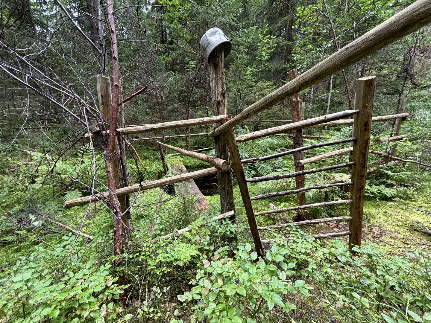 Trefaldighets källa
