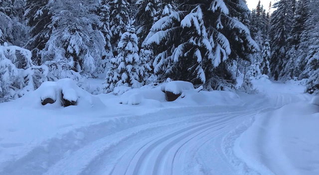 Skidspår Gräftåvallen Gröna spåret