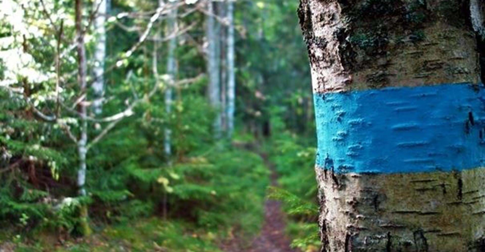 blåmarkerad vandringsled Viggeby naturreservat
Etapp: Brokind-Viggeby
Linköping