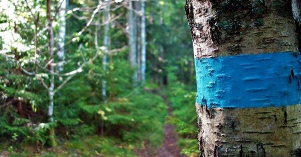blåmarkerad vandringsled Viggeby naturreservat
Etapp: Brokind-Viggeby
Linköping