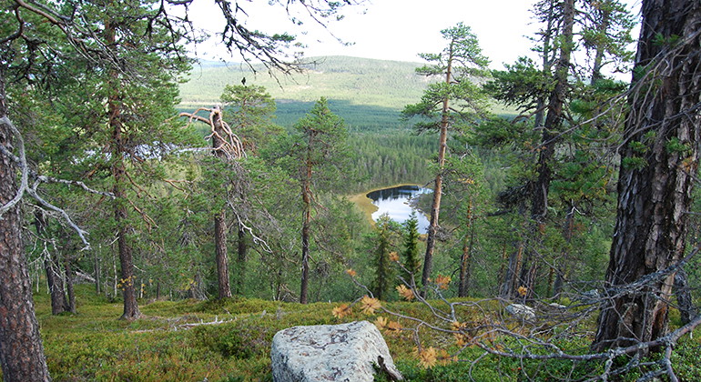 Spjutberget-Rymmarberget.