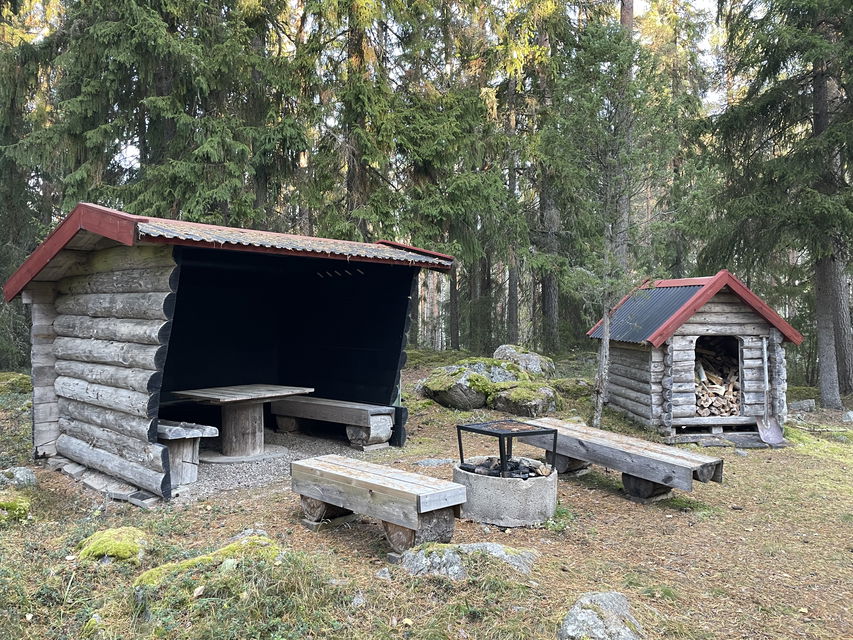 Vindskydd med grillplats, sittplatser och vedskjul med skog i bakgrunden