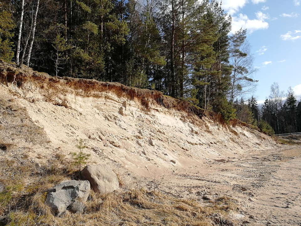 Sandbranter för backsvalans bohålor