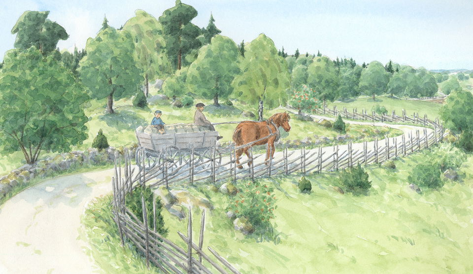 Illustration av Carina Lindkvist, Naturcentrum