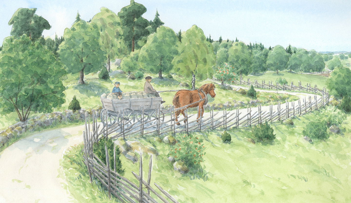 Illustration av Carina Lindkvist, Naturcentrum
