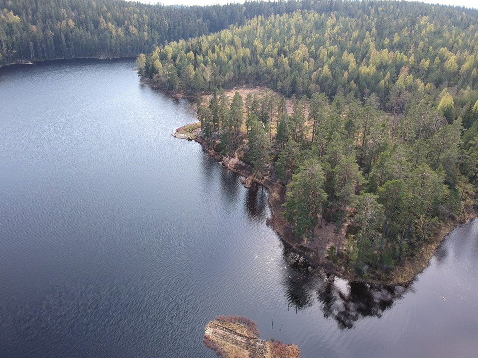 Abborrtjärn