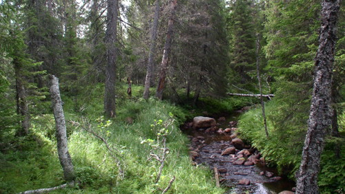 Grundträskån.