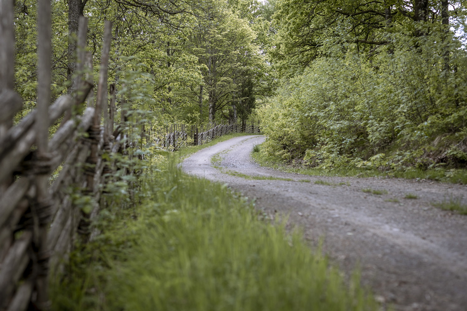 Gislavedsleden etapp G2 Gislaved - Arnåsholm - En del av Smålandsleden
