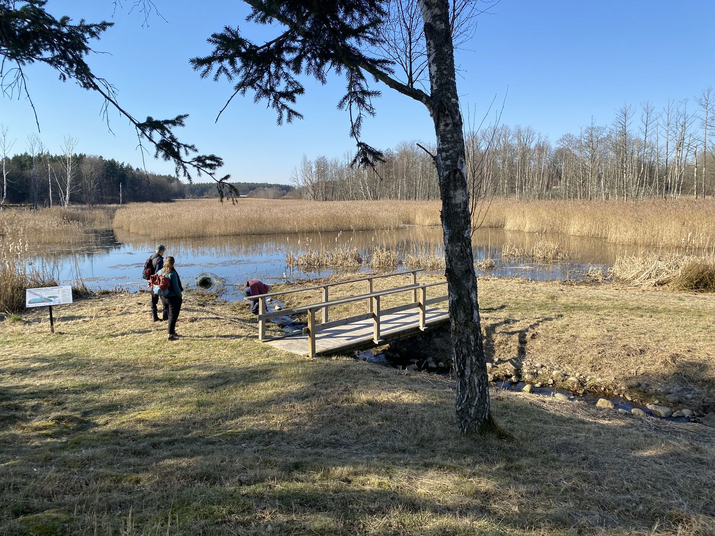 Våtmarksområde Törnerum