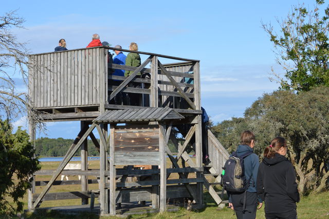 Smultronställe Ledskärstornet