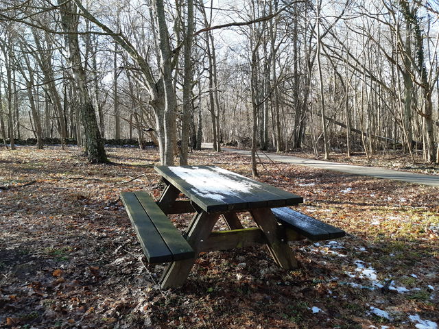 Bord, Vickleby ädellövskog