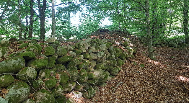 Timrilt, Naturreservat