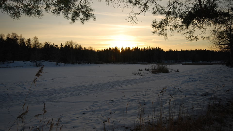 Västra Långängskärret. Foto Lidingö stad