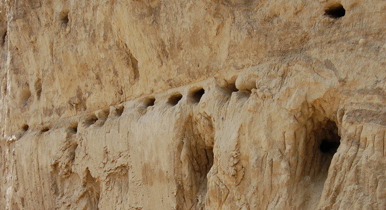 Backsvalornas bohål.