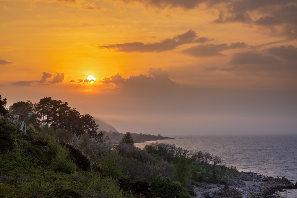 Skärets rauklika kust