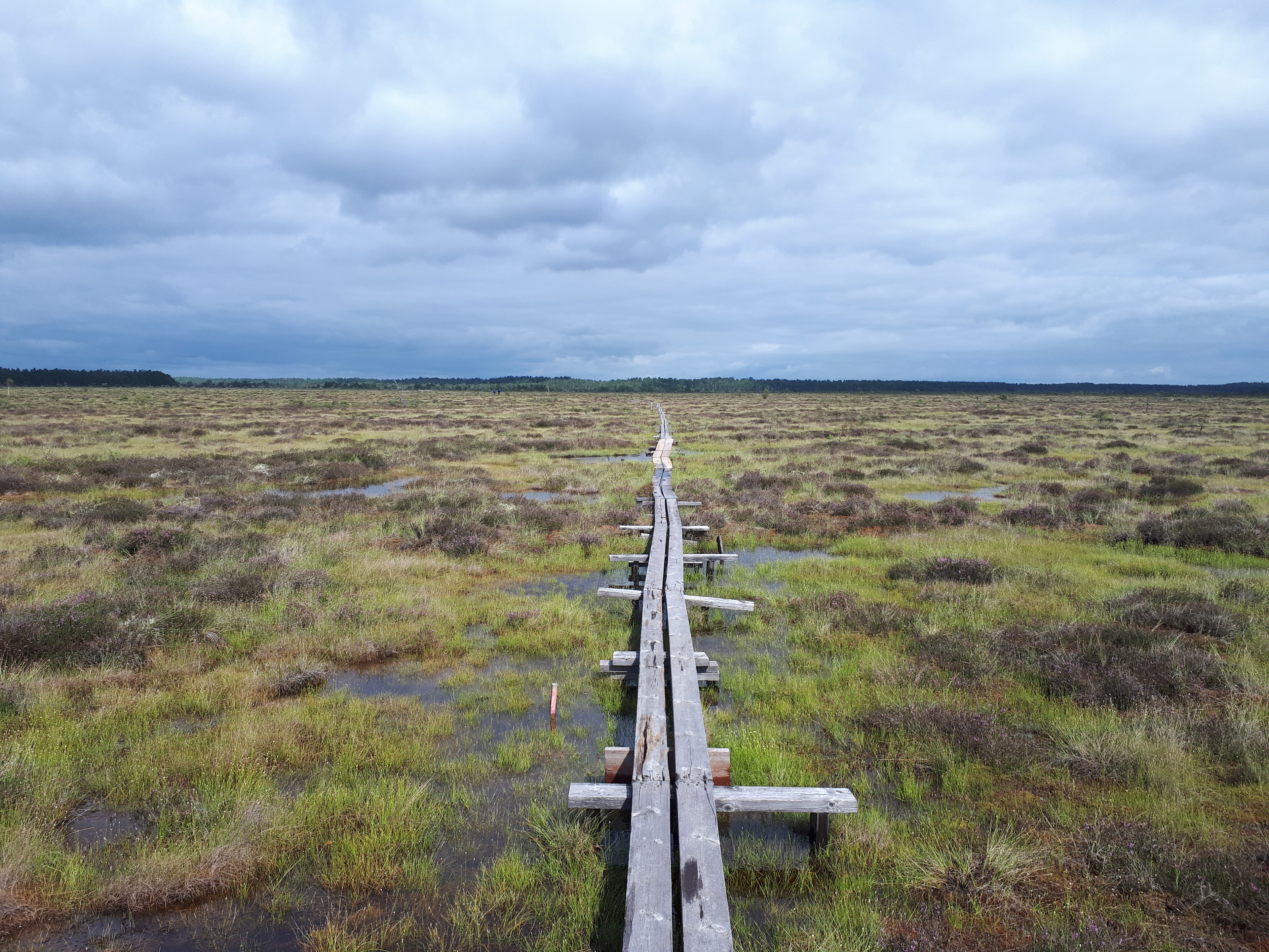 Store Mosse nationalpark – Sydsveriges myrhav