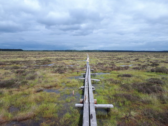 Store Mosse nationalpark – Sydsveriges myrhav