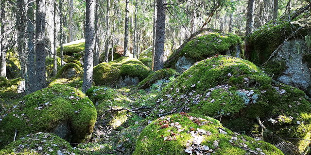 Kårsberget