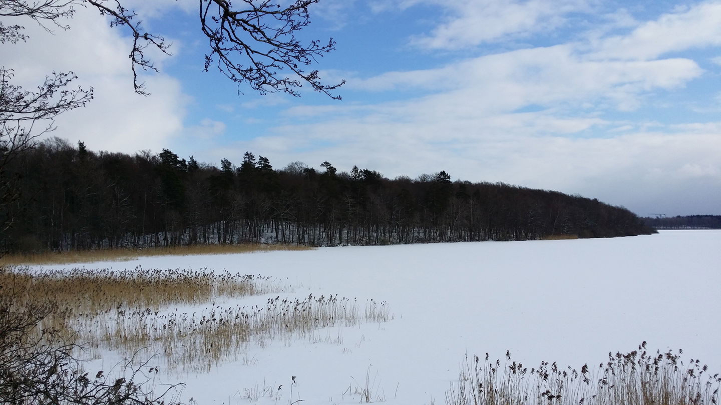 Kassaviken - NR Bokhultet