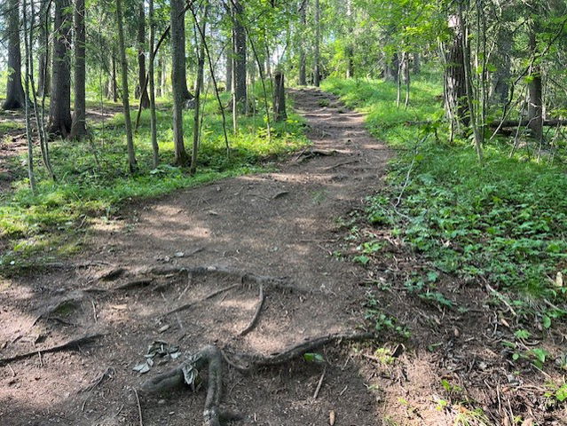 Toppstigen på Östberget