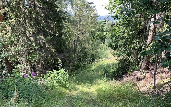 Kvarnåleden, Utanede