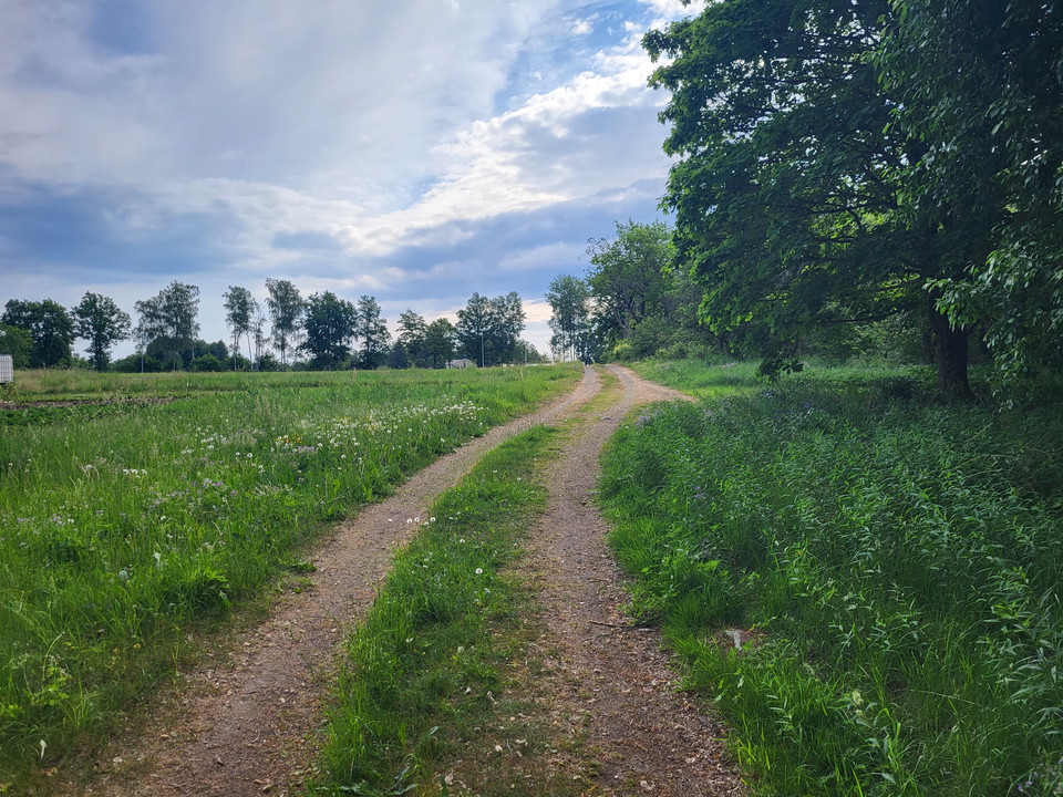 Kulturhistoriska värden