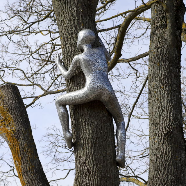 Stilla rörelse