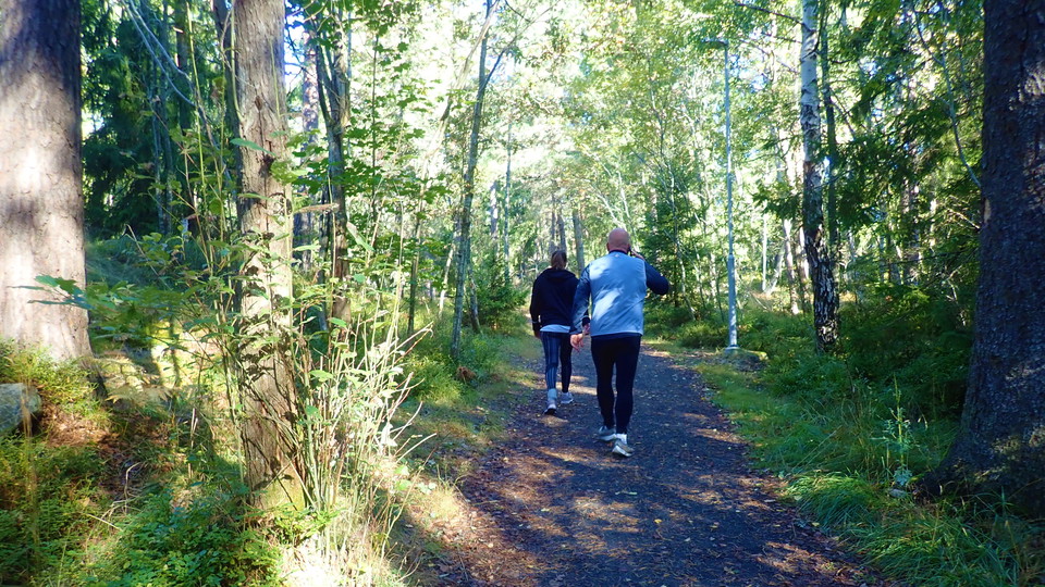 Motionärer i Karins backe. Foto Lidingö stad