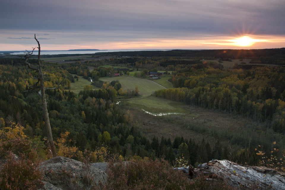 Foto: Johan Stadling