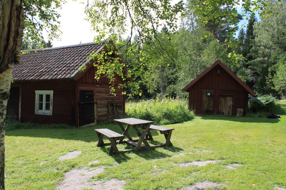 Gräsmatta med bänkbord. Rödfärgade uthus i bakgrunden