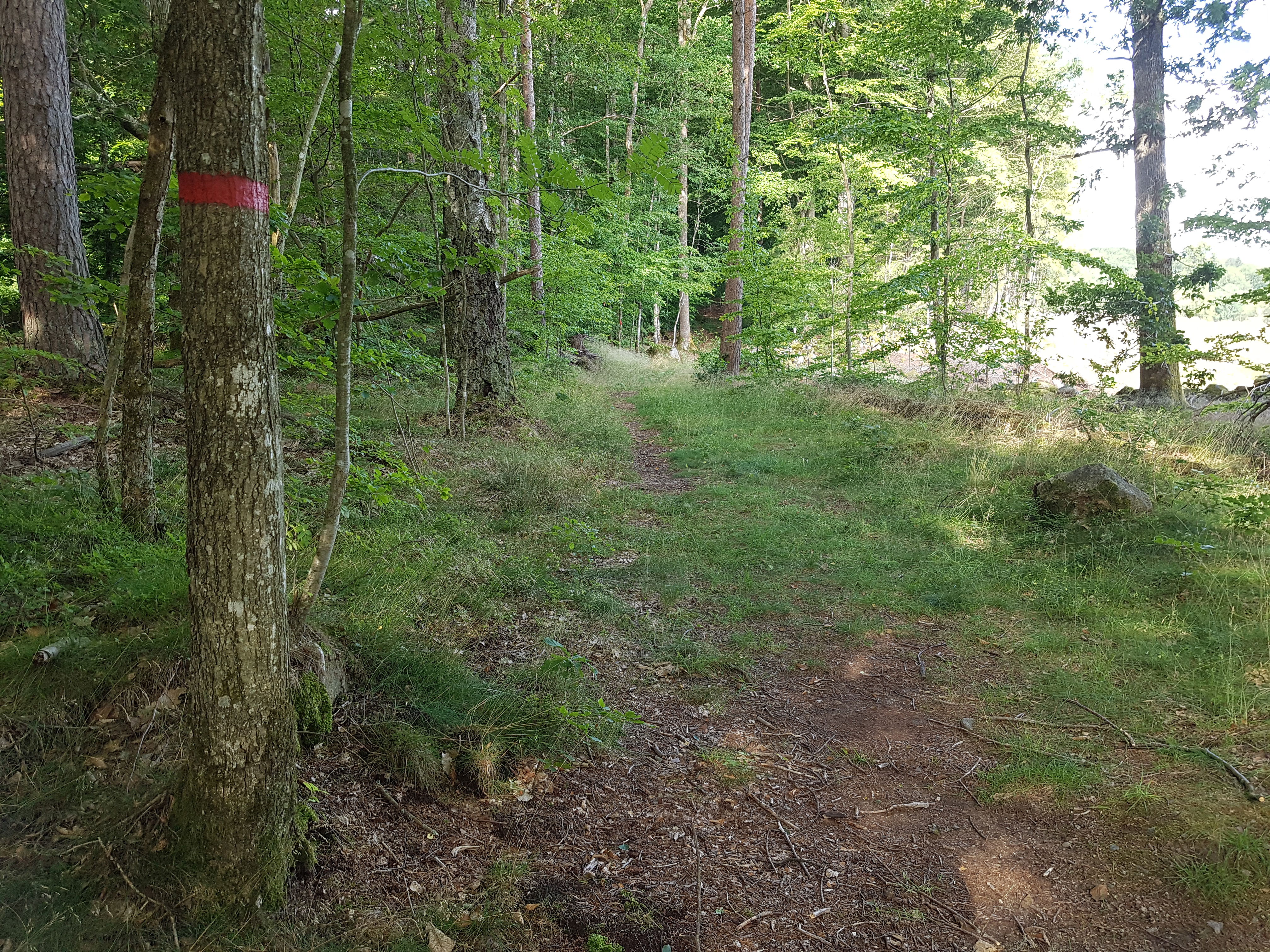 Pieboda röd led