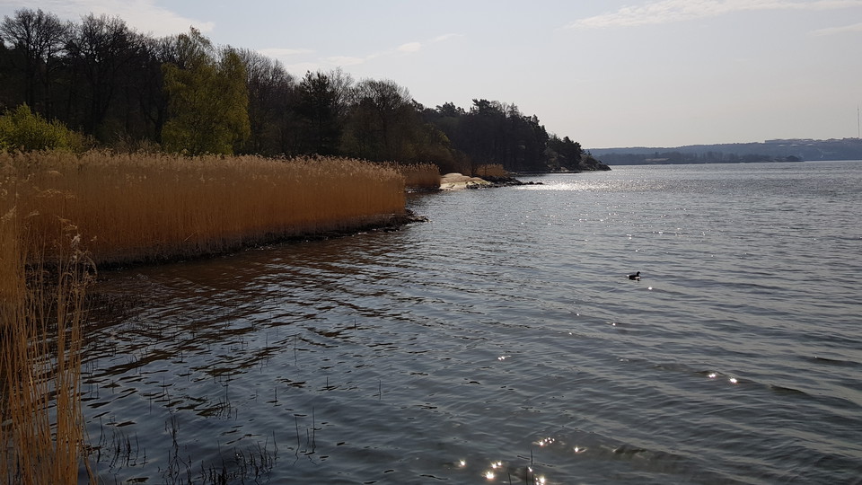 Vasstrand vid Kappsta. Foto Lidingö stad