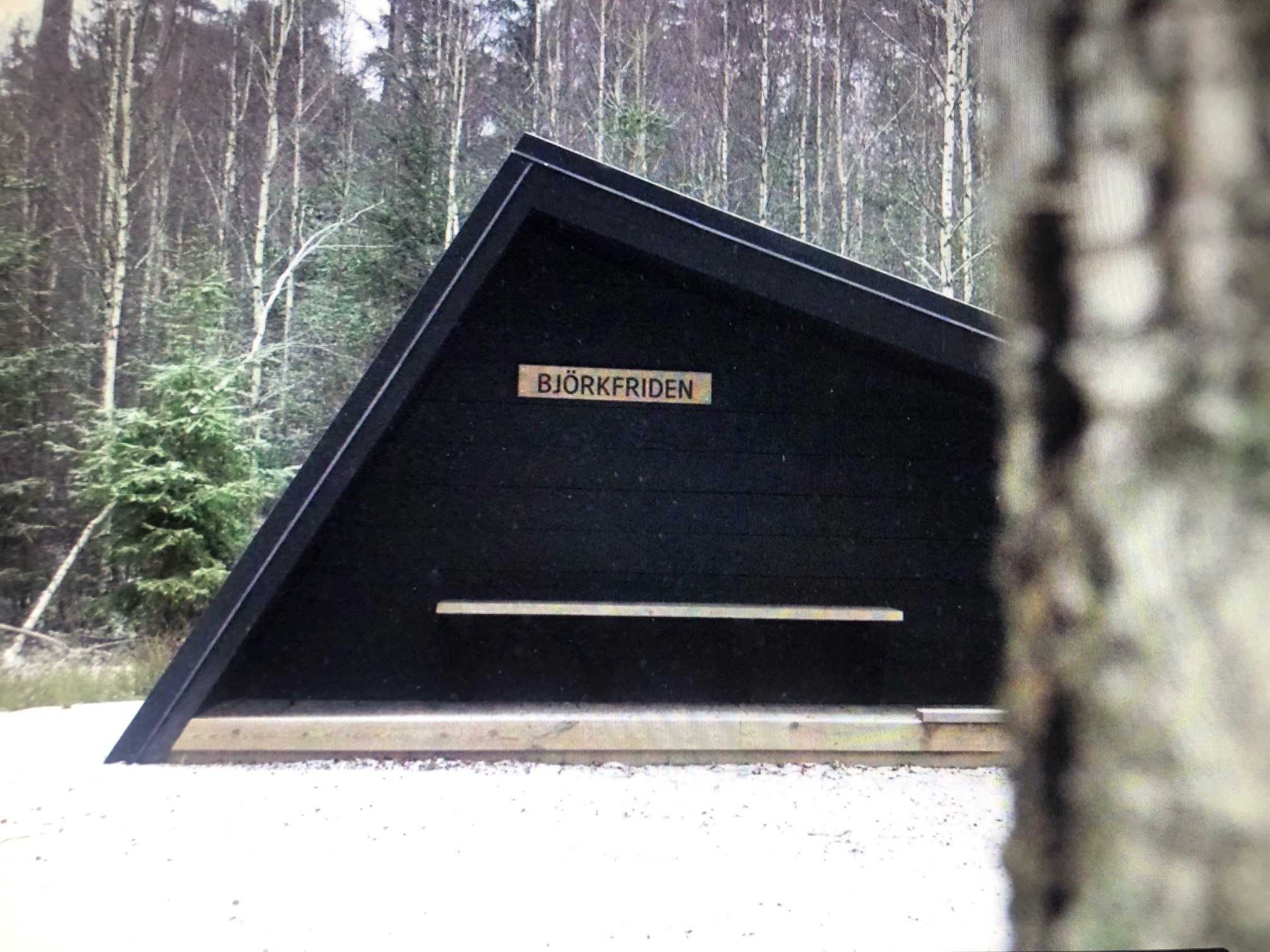 Ett triangelformat vindskydd i skogen