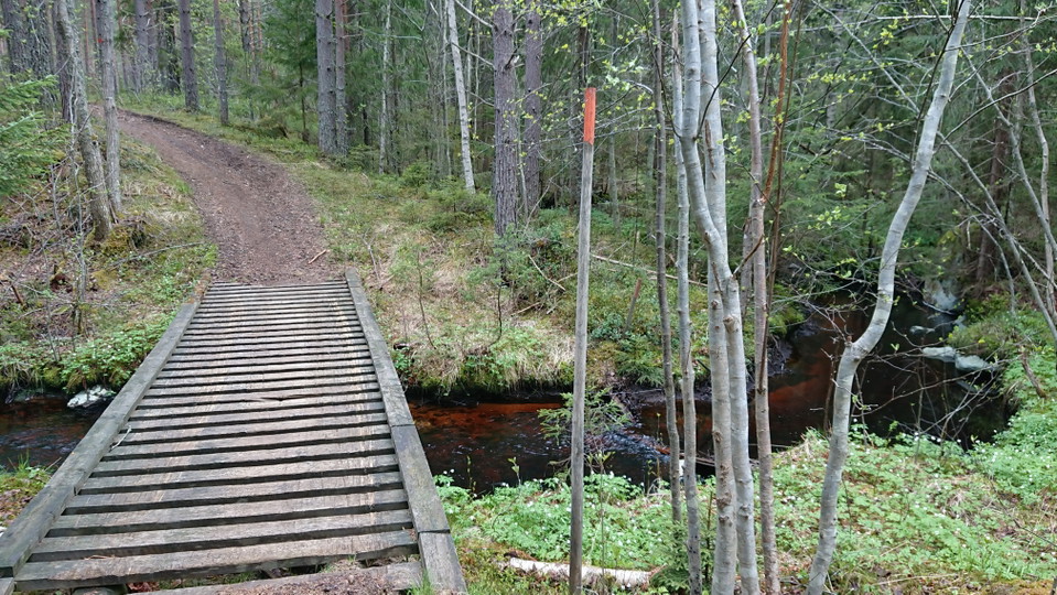 Norrbäcken. Foto: Maria Hammarström, 2021