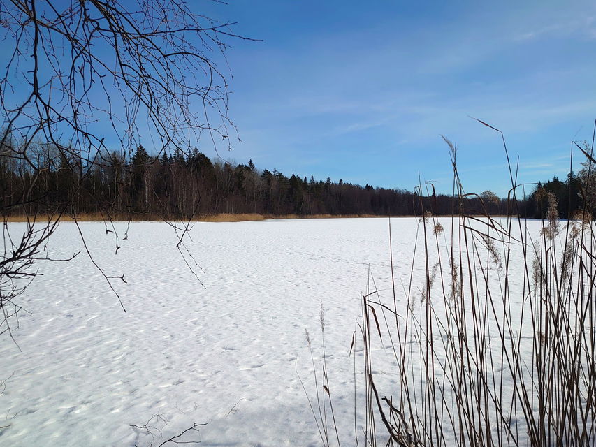 Is och snö på Storsjön i Björinge naturreservat.