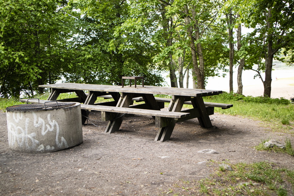 En grillplats, bänkar, träd i bakgrunden.