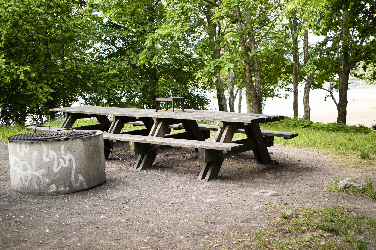 En grillplats, bänkar, träd i bakgrunden.
