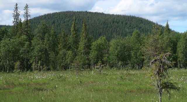 Gárgguovárdduo