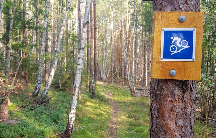 Cykelstig med ledmarkering.