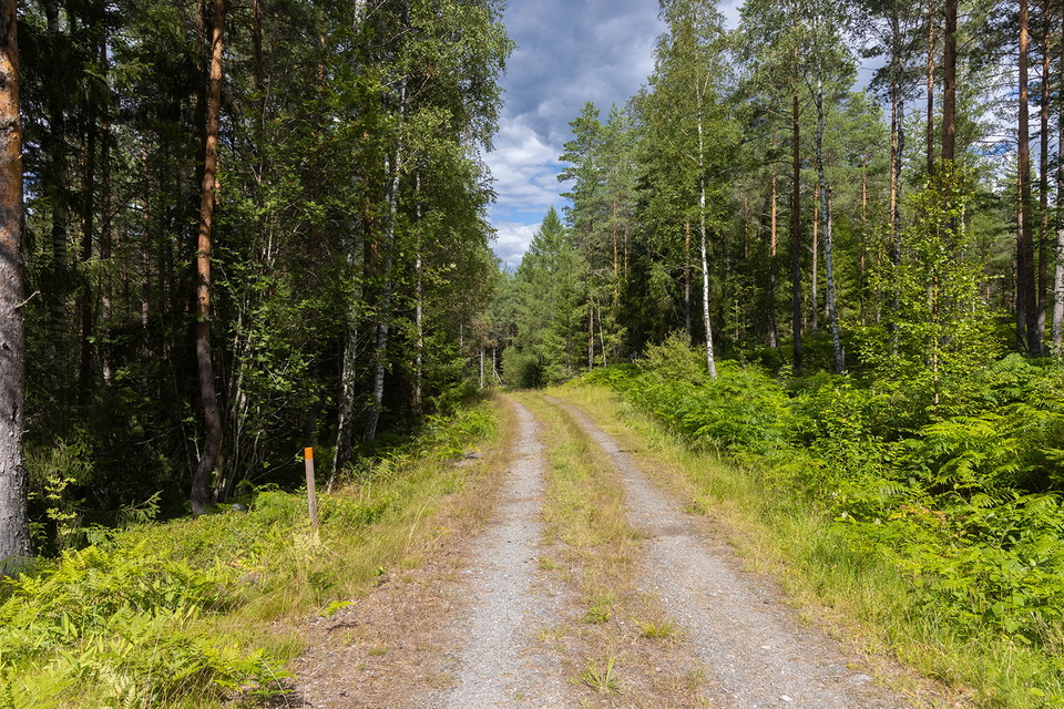Foto: Fredrik Neregård