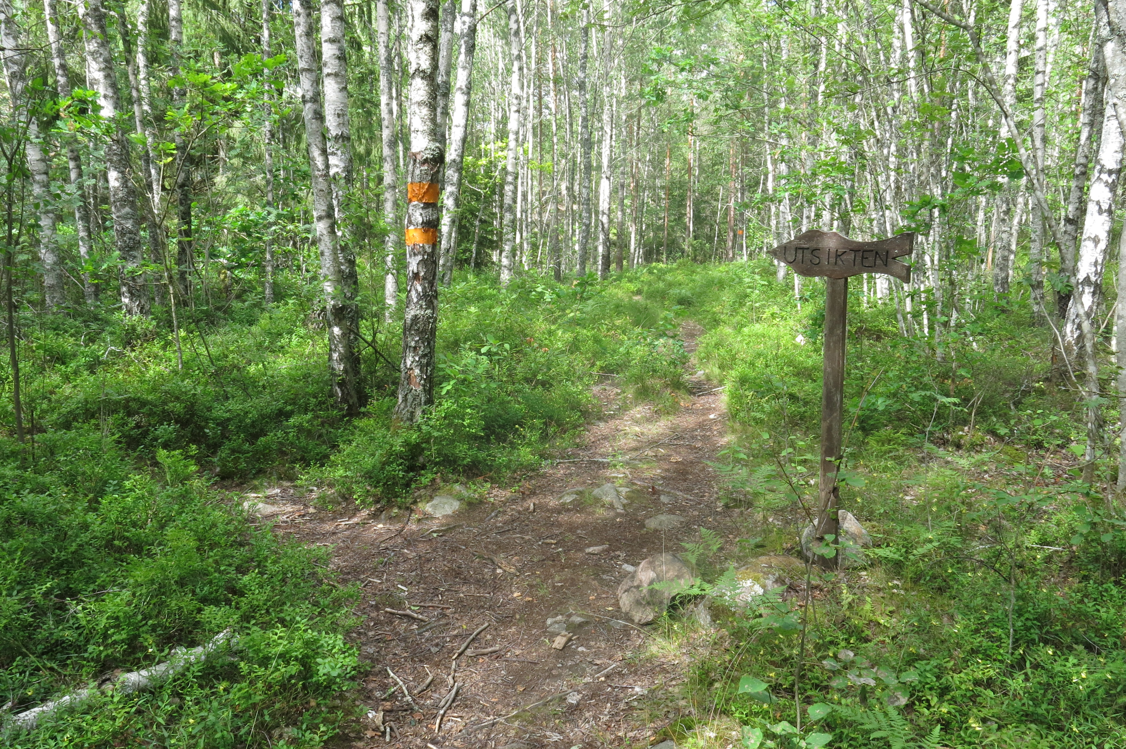 Utsiktsplats från Borgberget