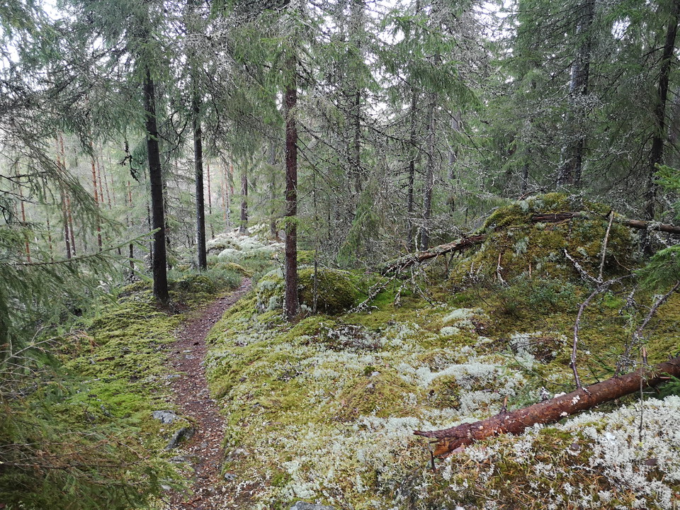 Vy övre stig mot Kvarndammen