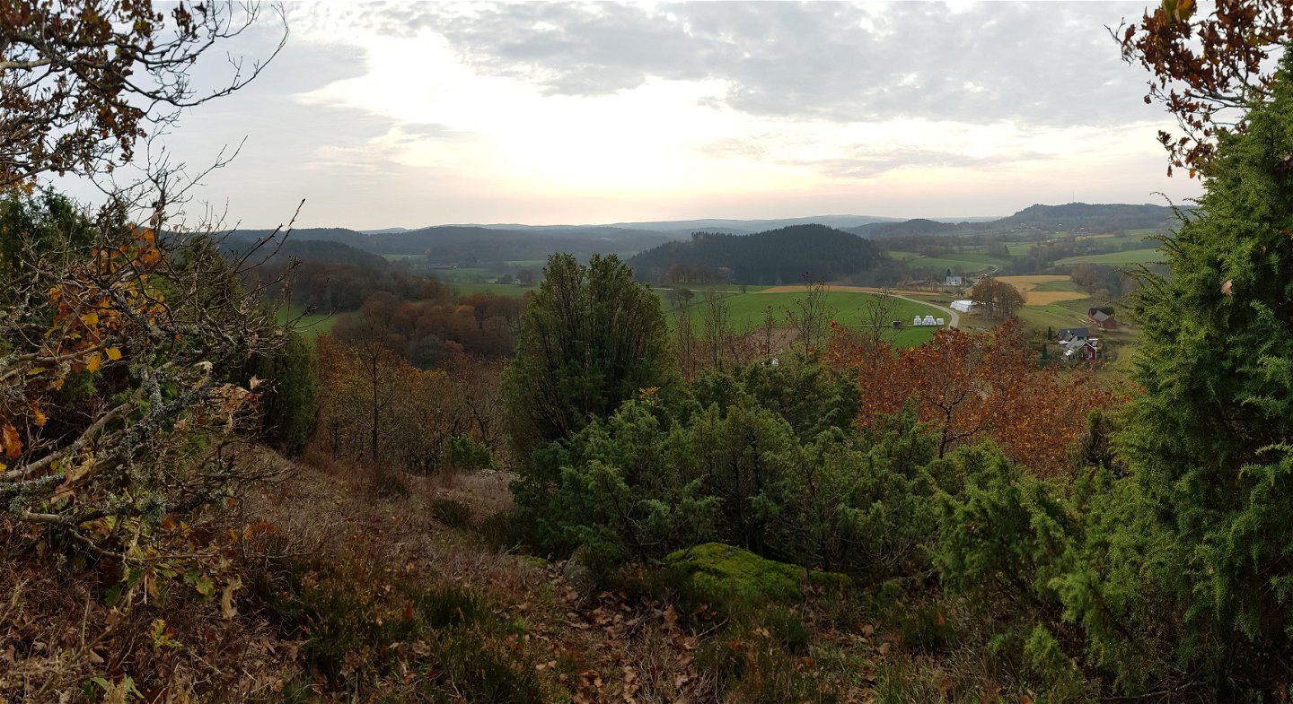 Utsikt från reservatet över åkrar i Varberg