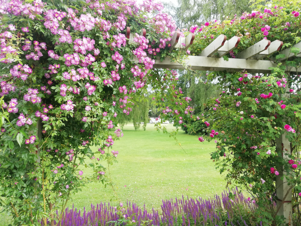 Rosenträdgården, Ronneby Brunnspark