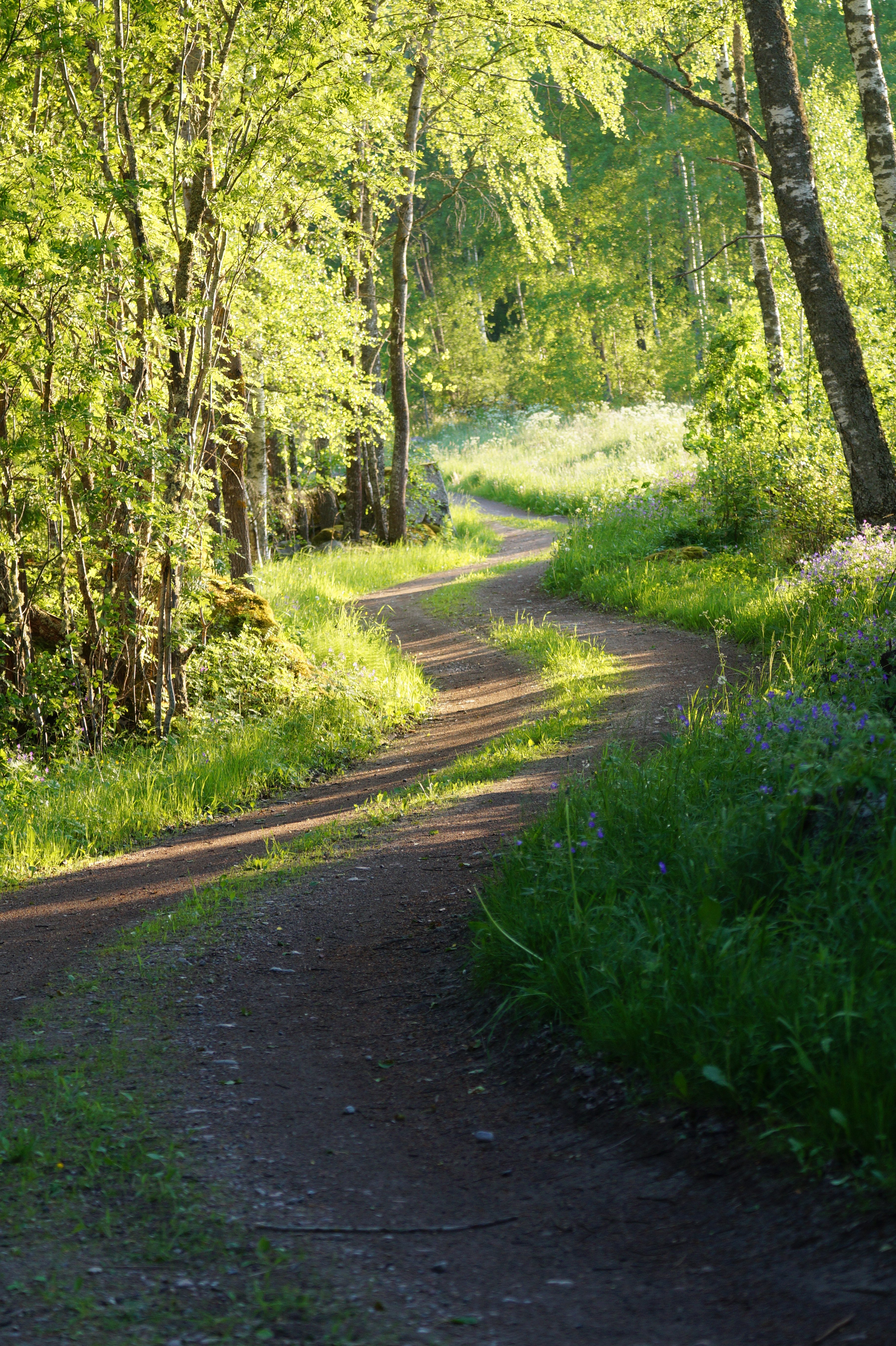 Arboga — Säterboleden trail