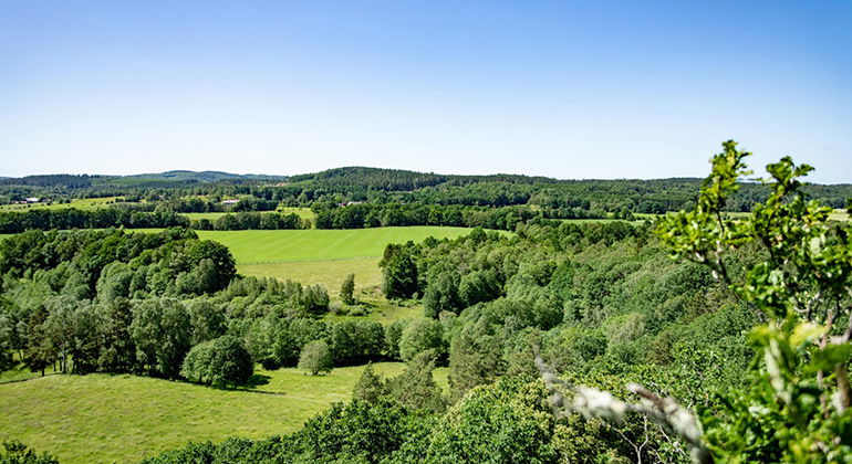 vy över reservatet