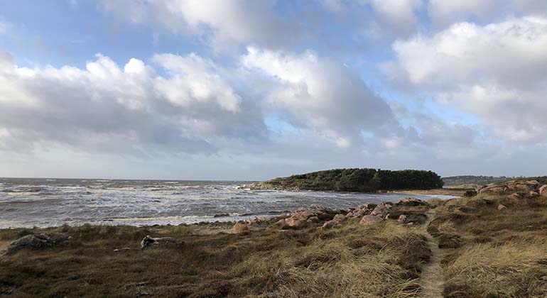 Vy över havet som möter land