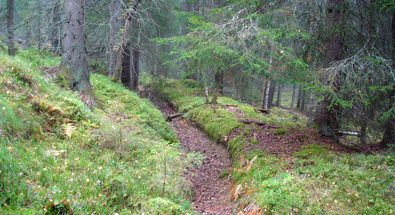 I skogen i Smörtjärnarnas naturreservat, syns fortfarande rester efter gruvverksamheten. Här syns det grävda gruvdiket från 1883 som byggdes för att trygga vattenförsörjningen i gruvorna.